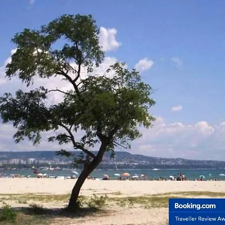 Relax In South Bay